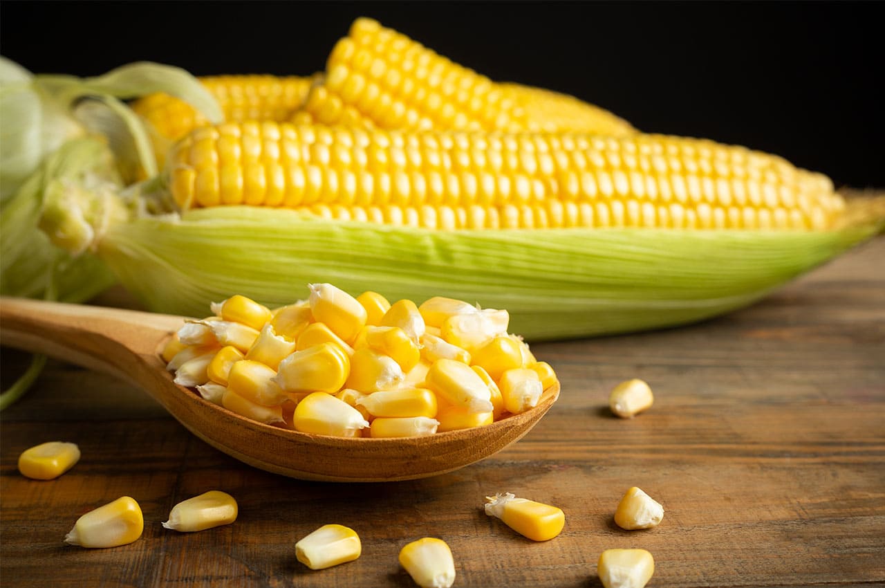 Maíz Amarillo
